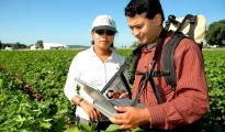 agricultural-engineering