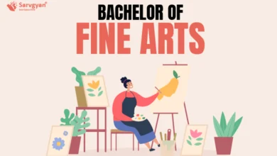 Bachelor of Fine Arts