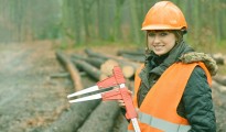 career in forestry