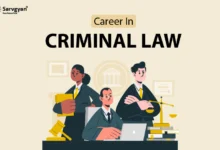 career in criminal law