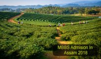 mbbs admission in assam