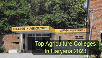 Top Agriculture Colleges in Haryana 2023-2024: Get List & Rating