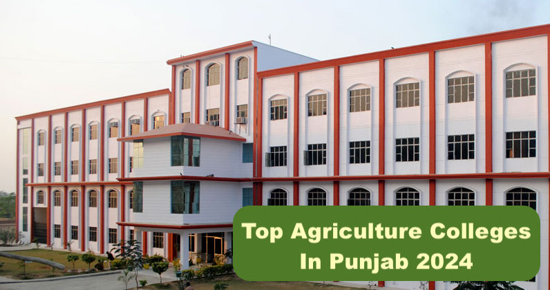 Top Agriculture Colleges in Punjab 2025: Get Here List & Rating